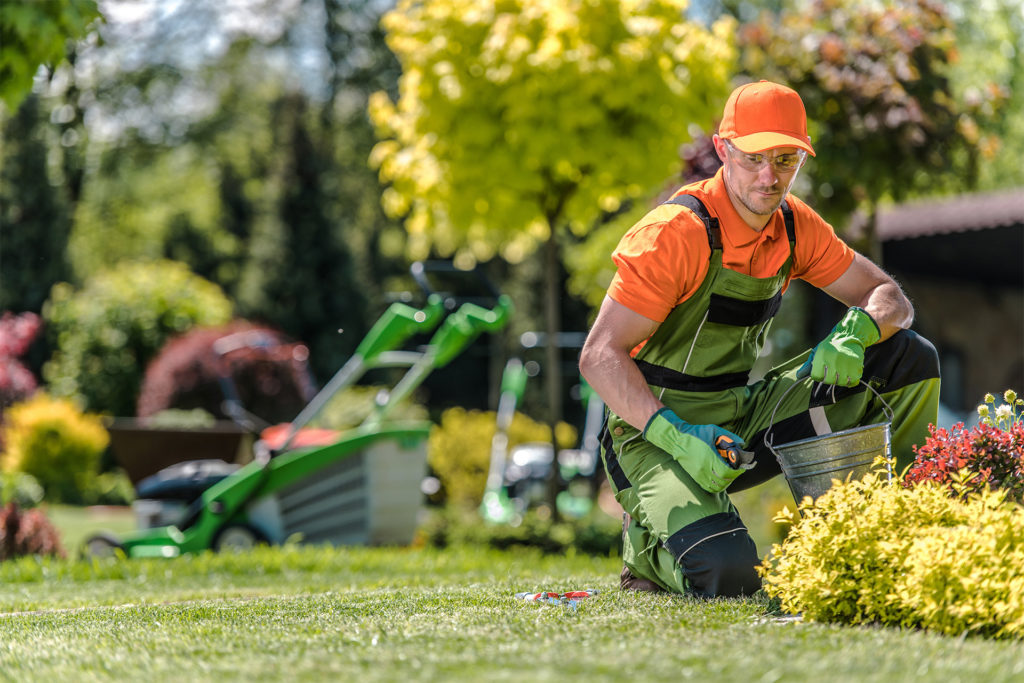 Gartendienst